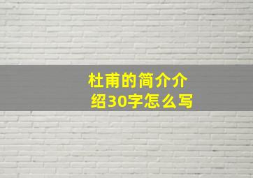 杜甫的简介介绍30字怎么写