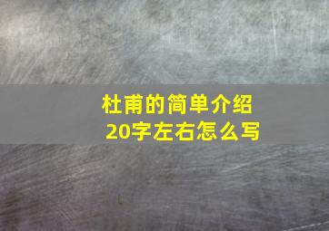 杜甫的简单介绍20字左右怎么写