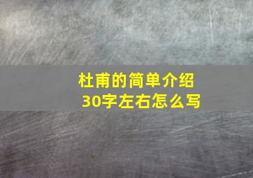 杜甫的简单介绍30字左右怎么写