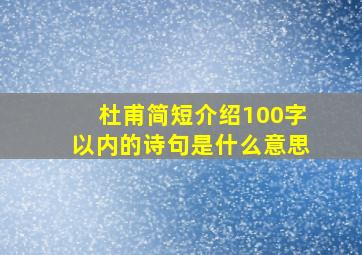 杜甫简短介绍100字以内的诗句是什么意思