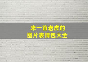 来一首老虎的图片表情包大全