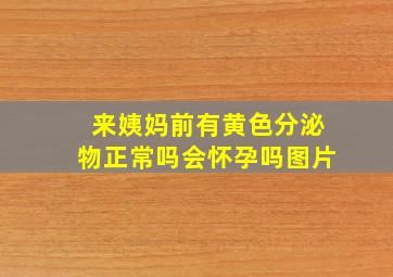 来姨妈前有黄色分泌物正常吗会怀孕吗图片