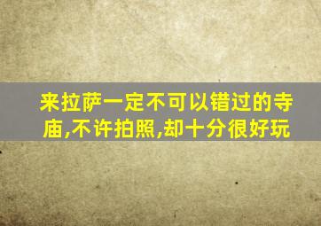 来拉萨一定不可以错过的寺庙,不许拍照,却十分很好玩