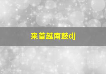 来首越南鼓dj