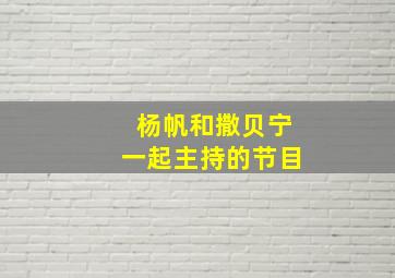 杨帆和撒贝宁一起主持的节目