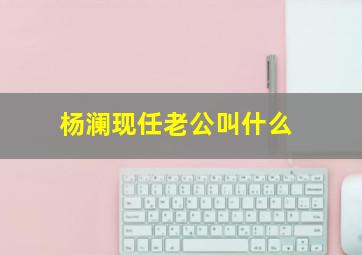 杨澜现任老公叫什么