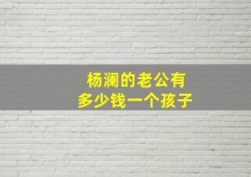 杨澜的老公有多少钱一个孩子