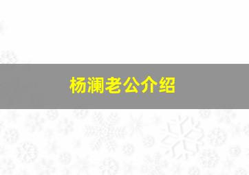 杨澜老公介绍