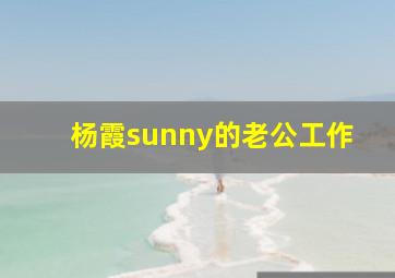 杨霞sunny的老公工作