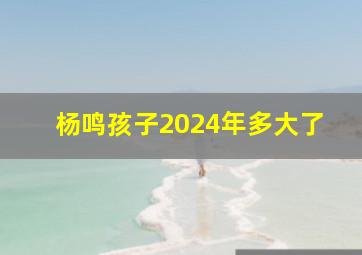 杨鸣孩子2024年多大了