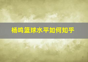 杨鸣篮球水平如何知乎