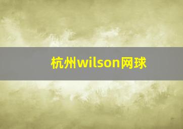 杭州wilson网球