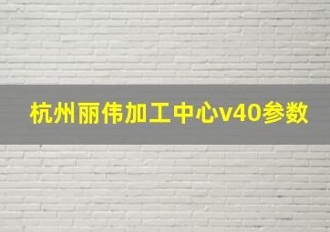 杭州丽伟加工中心v40参数