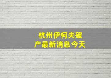 杭州伊柯夫破产最新消息今天