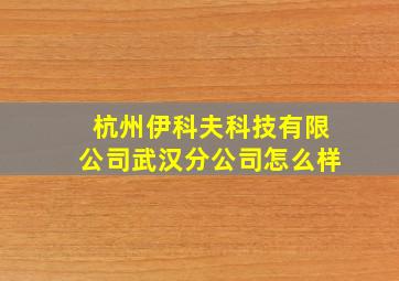 杭州伊科夫科技有限公司武汉分公司怎么样