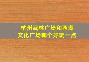 杭州武林广场和西湖文化广场哪个好玩一点