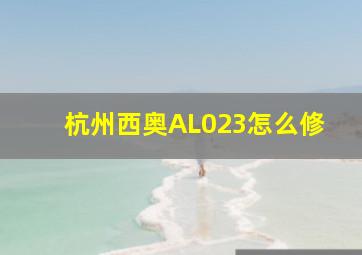 杭州西奥AL023怎么修