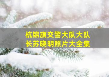 杭锦旗交警大队大队长苏晓明照片大全集