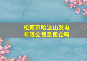 松原市哈达山发电有限公司是国企吗