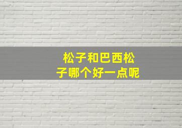 松子和巴西松子哪个好一点呢