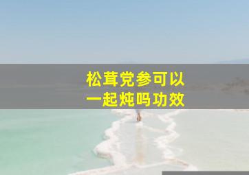 松茸党参可以一起炖吗功效