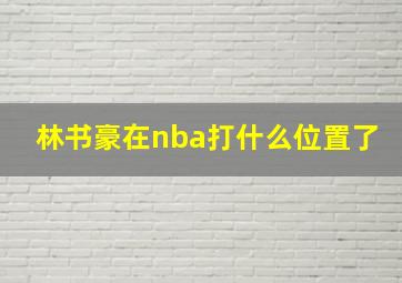 林书豪在nba打什么位置了