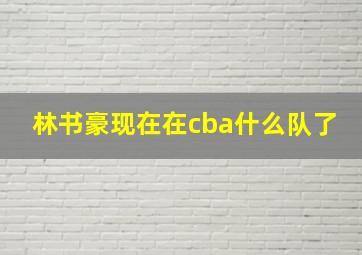 林书豪现在在cba什么队了