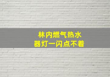 林内燃气热水器灯一闪点不着