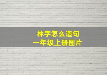 林字怎么造句一年级上册图片