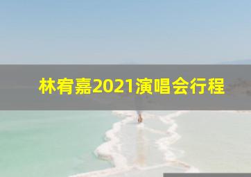 林宥嘉2021演唱会行程