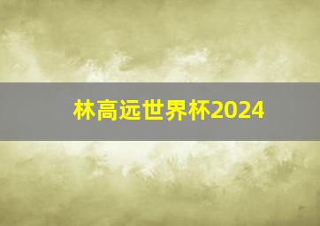 林高远世界杯2024