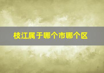 枝江属于哪个市哪个区