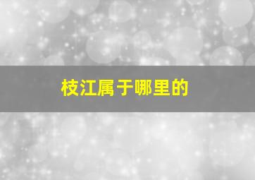 枝江属于哪里的