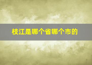 枝江是哪个省哪个市的