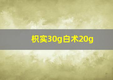 枳实30g白术20g