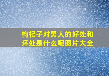 枸杞子对男人的好处和坏处是什么呢图片大全