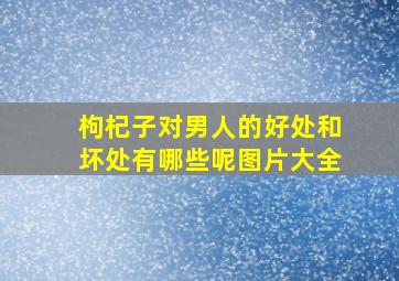 枸杞子对男人的好处和坏处有哪些呢图片大全