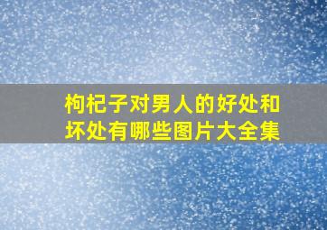 枸杞子对男人的好处和坏处有哪些图片大全集