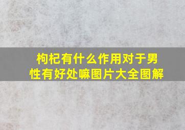 枸杞有什么作用对于男性有好处嘛图片大全图解