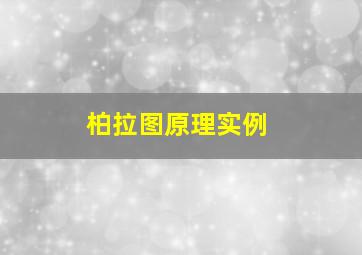 柏拉图原理实例