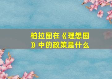 柏拉图在《理想国》中的政策是什么