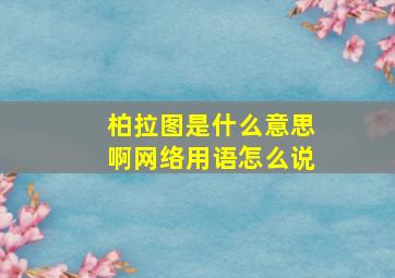 柏拉图是什么意思啊网络用语怎么说