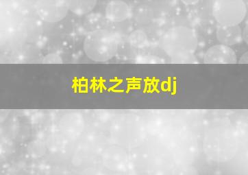 柏林之声放dj