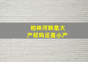 柏林河畔是大产权吗还是小产