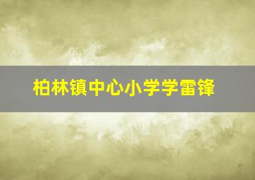 柏林镇中心小学学雷锋