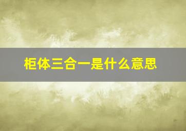 柜体三合一是什么意思