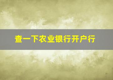 查一下农业银行开户行