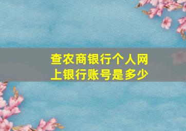 查农商银行个人网上银行账号是多少