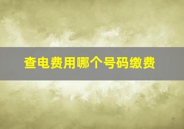 查电费用哪个号码缴费