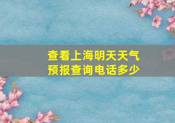 查看上海明天天气预报查询电话多少